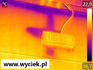 Termowizja pokazująca przeciek z tarasu i napływ wody po ścianie