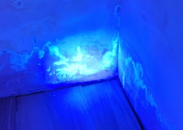 Barwnik UV do kanalizacji