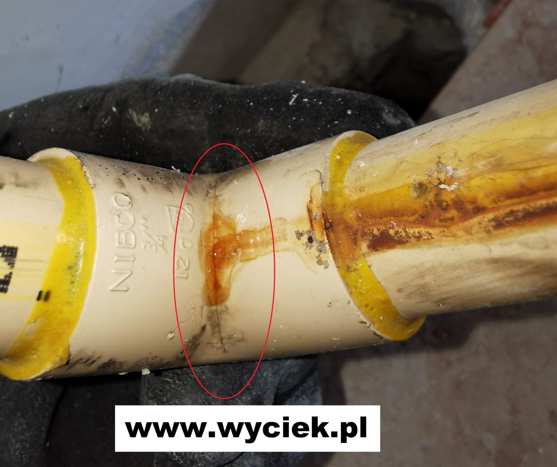 Lokalizacja wycieków wody – pomiary diagnostyczne