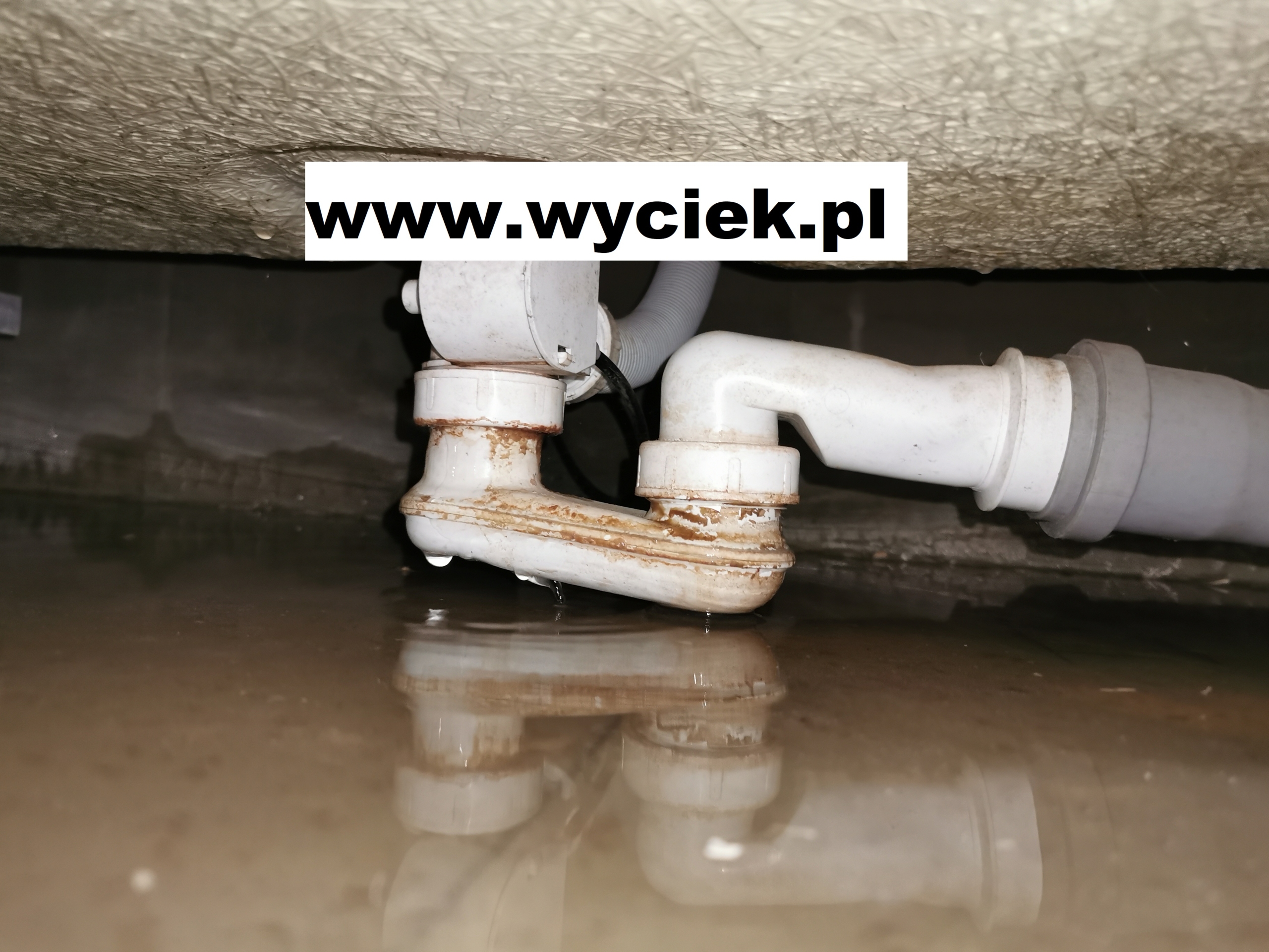 Lokalizacja wycieków wody – diagnostyka kanalizacji