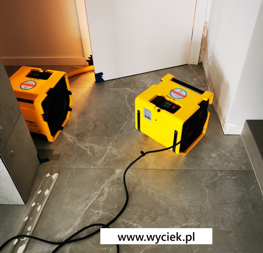 Osuszanie ścian po zalaniu – osuszanie po zalaniu budynków i mieszkań