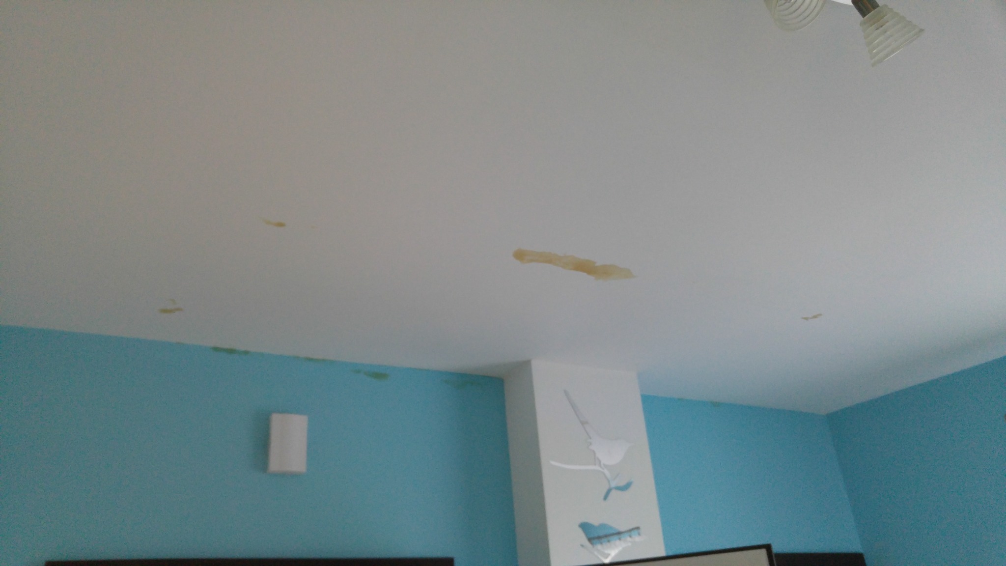 Ślady zalania sufitu w mieszkaniu sąsiada