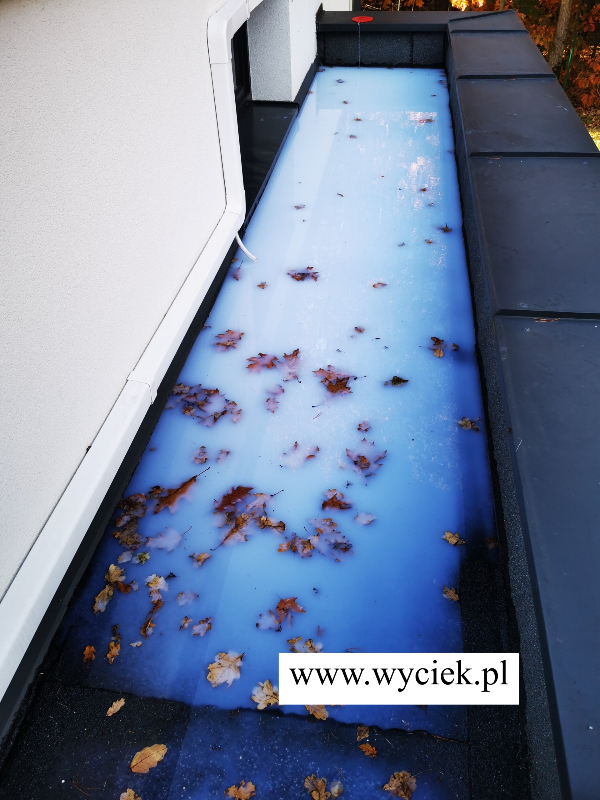 Próba szczelności dachu płaskiego – zalewanie połaci wodą z barwnikiem UV w celu wykrycia nieszczelności