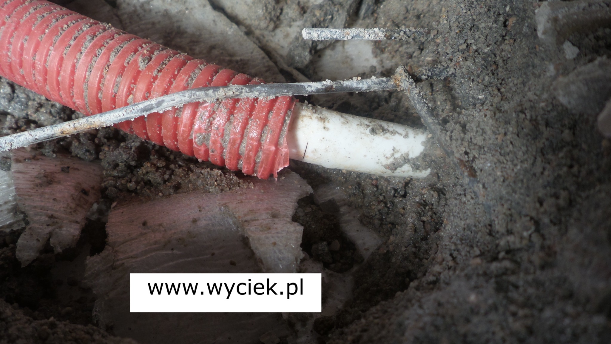 wyciek wody Bielsko Biała termowizja pod płytkami