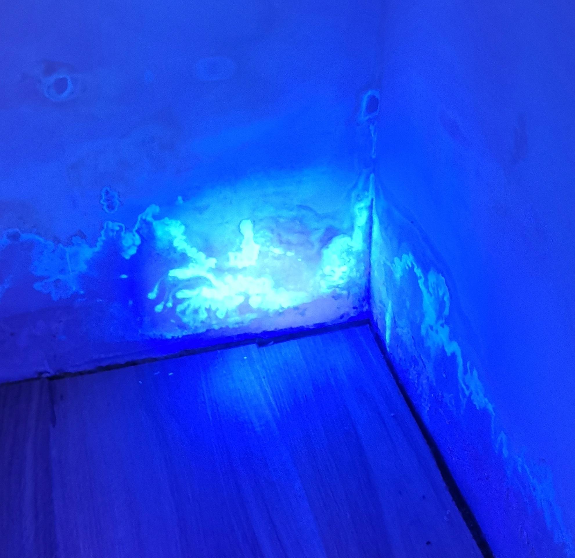 Wyciek wody Goczałkowice-Zdrój – badanie szczelności kanalizacji przy użyciu barwnika UV.