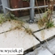 kapie woda z balkonu uszkodzone fugi i krawędź