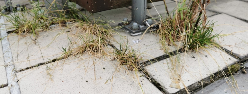 kapie woda z balkonu uszkodzone fugi i krawędź