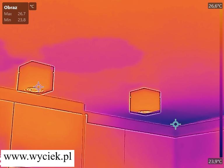 Termowizja mokrego sufitu w kuchni pokazująca ślad zalania od nieszczelnego dachu.