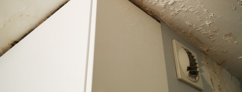 Mokry sufit w kuchni – zacieki i pleśń po zalaniu