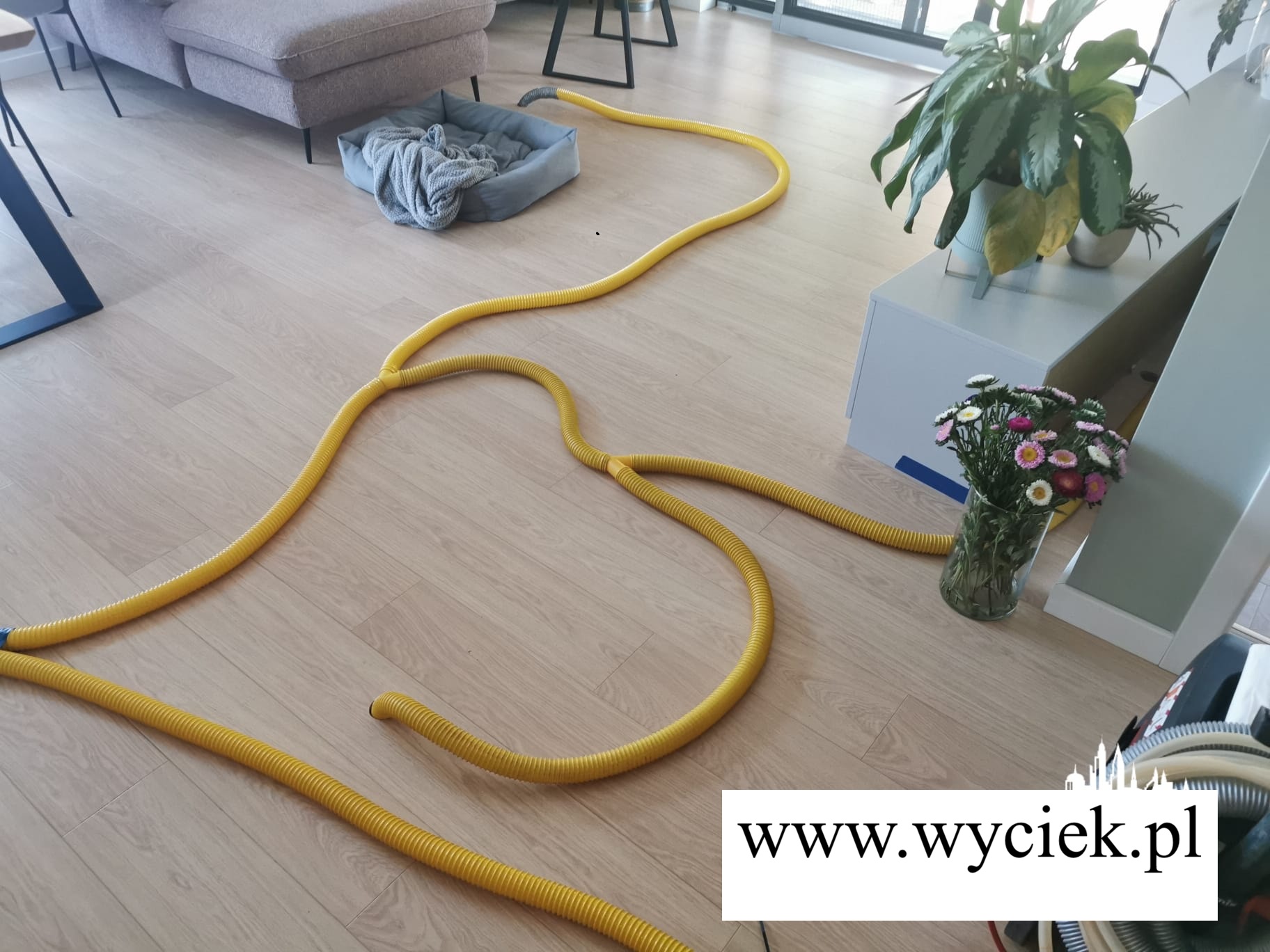 Osuszanie podposadzkowe Katowice w salonie