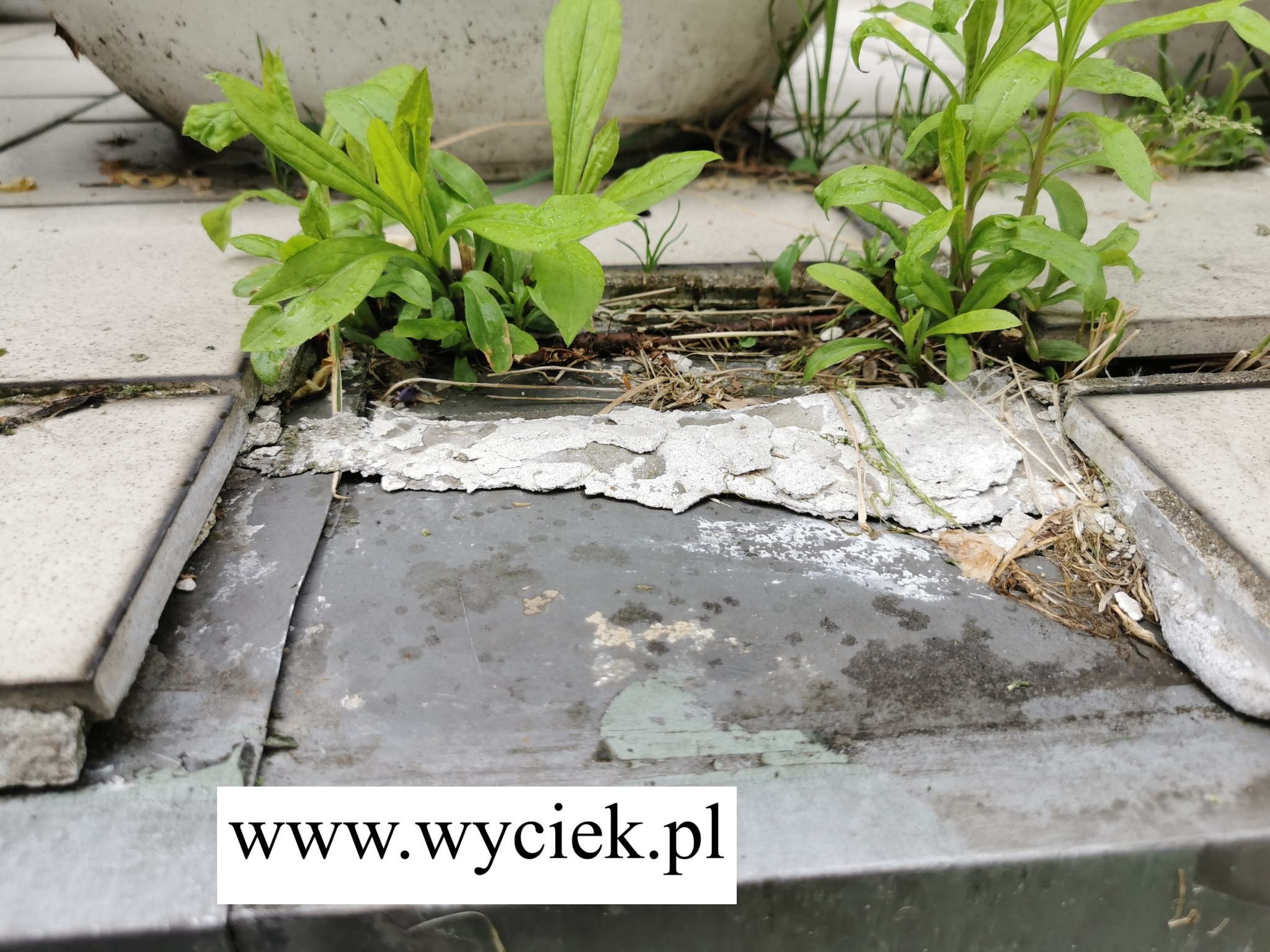 nieszczelne pokrycie tarasu uszkodzona izolacja przy ścianie