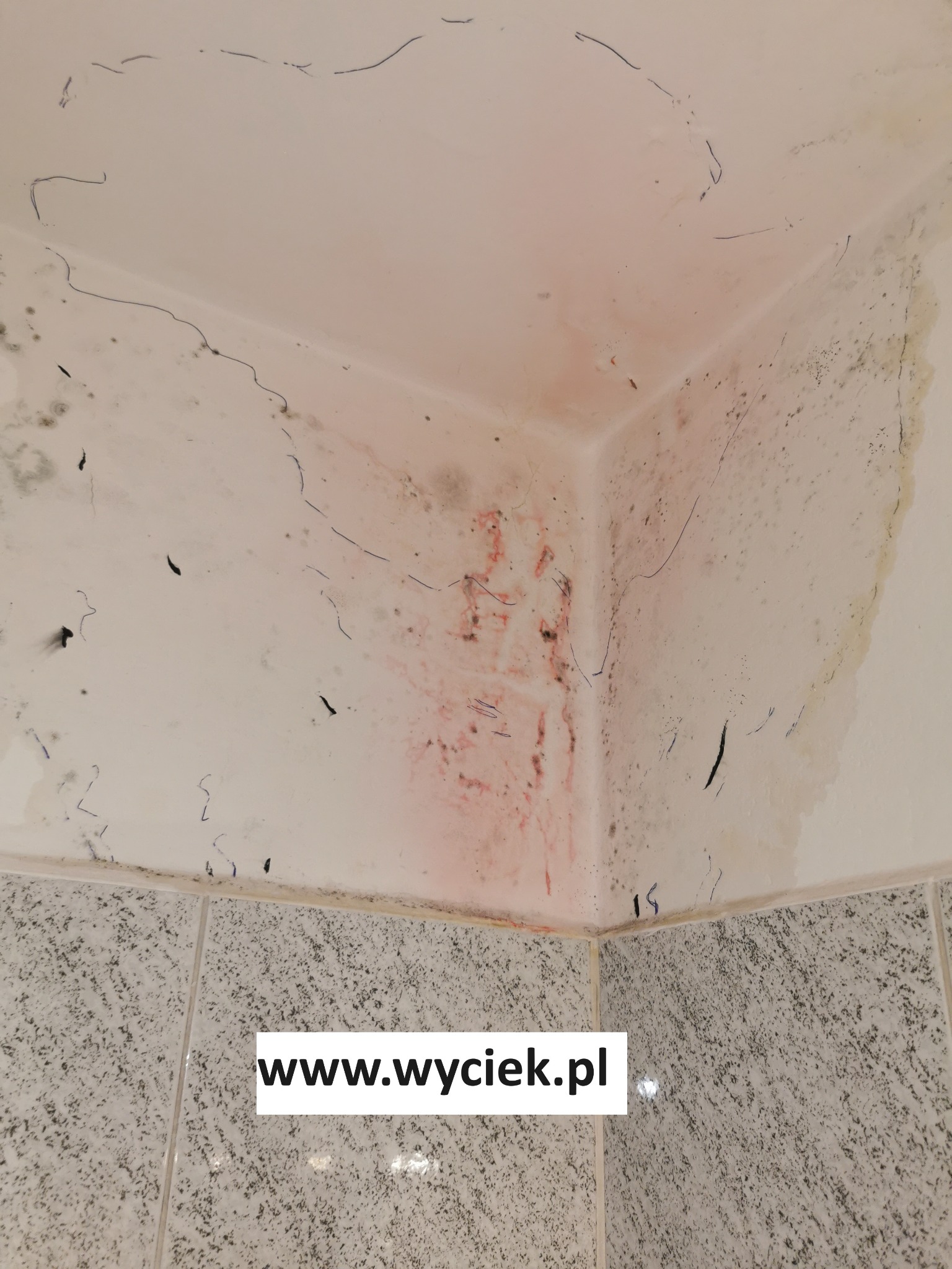 Wyciek wody Buczkowice test szczelności z barwnikiem