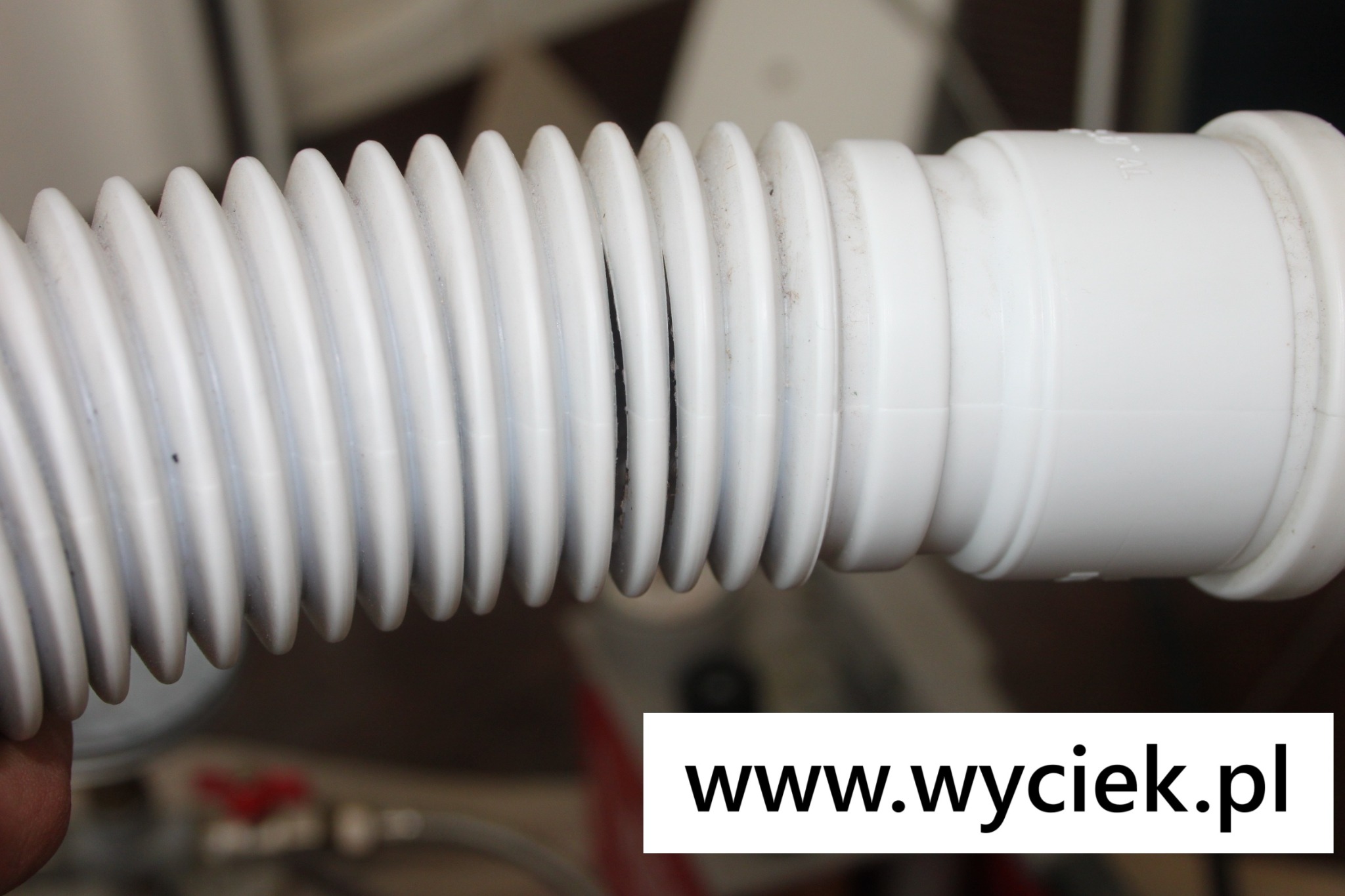 Wyciek z kanalizacji Bytom – pęknięta rura odpływowa powodująca nieszczelność