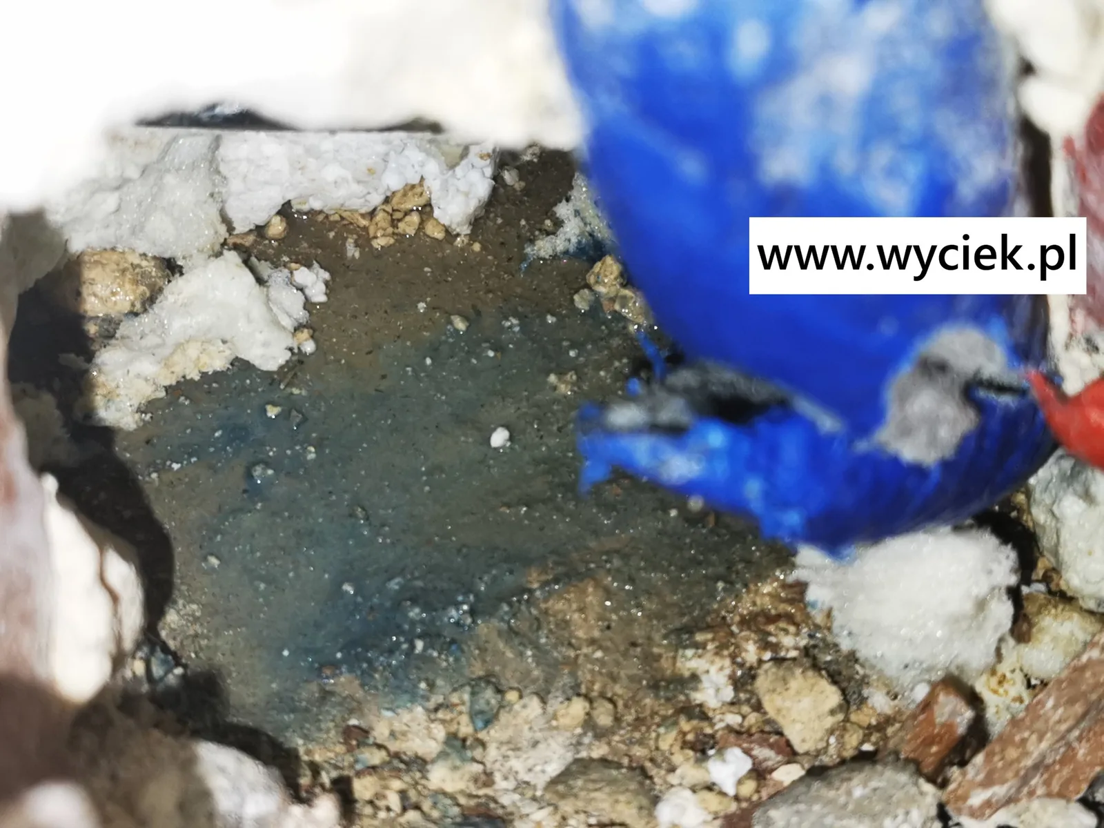 Wyciek wody Gorzyce – badanie kanalizacji barwnikiem UV