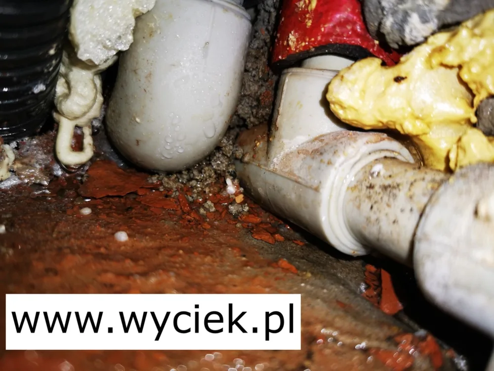 Nieszczelność kanalizacji Żory – wilgoć przy rurach odpływowych