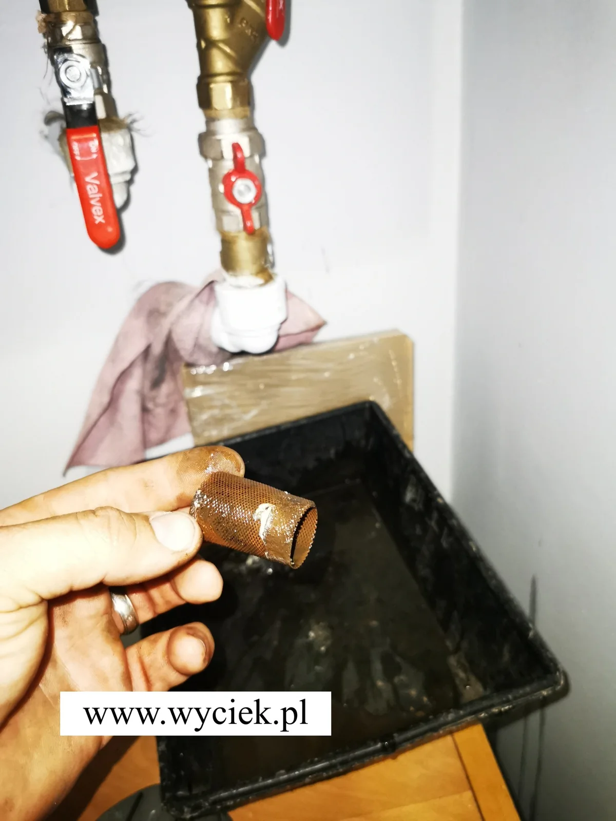 Wyjęty wkład filtra siatkowego przed aplikacją uszczelniacza do CO